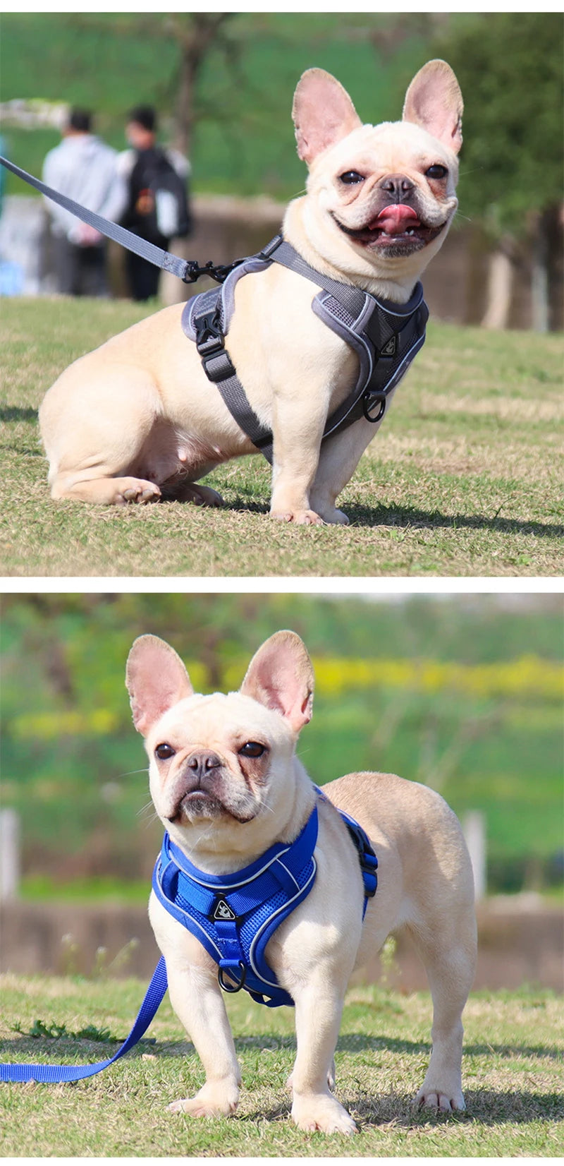 Dog leash Vest pet cat chest strap Reflective breathable cat leash puppy leash