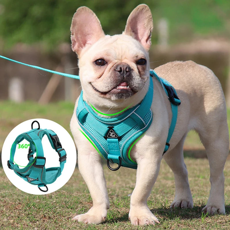 Dog leash Vest pet cat chest strap Reflective breathable cat leash puppy leash