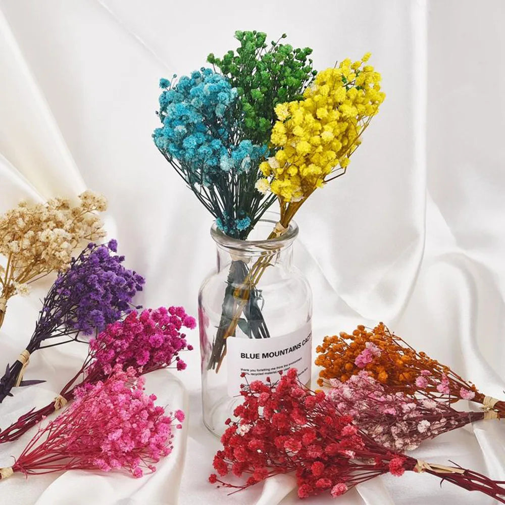 80g Natural Dried Gypsophile Flower Wedding Decoration Arrangement Baby Breath Preserved Flowers Bouquet Hoom Christmas Decor
