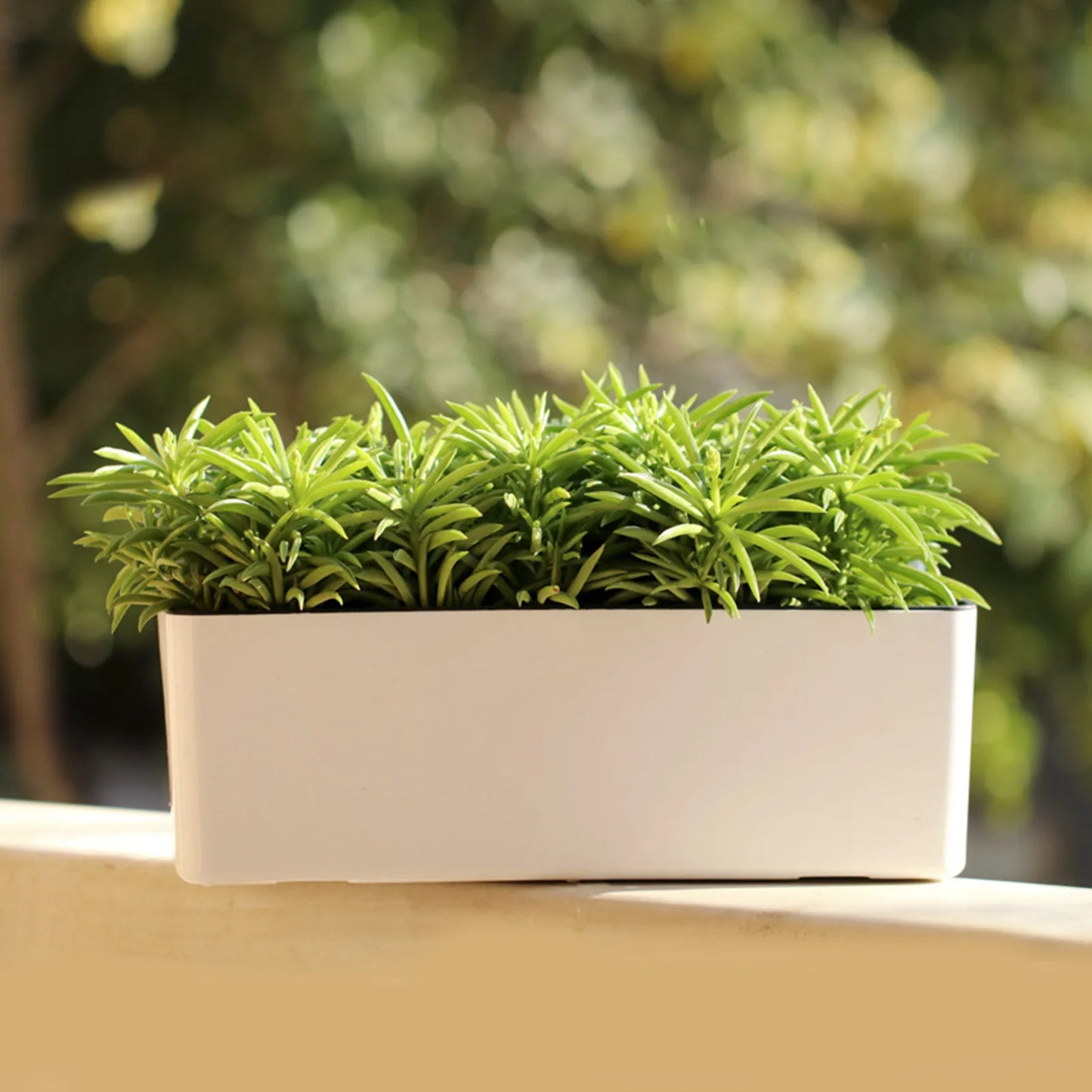 Self Watering Planter Flower Pot with Water Level Indicator Rectangular Large Bonsai Planting Container for Home Garden Office