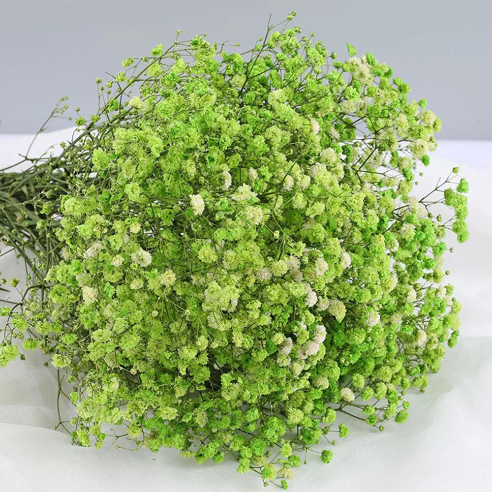 80g Natural Dried Gypsophile Flower Wedding Decoration Arrangement Baby Breath Preserved Flowers Bouquet Hoom Christmas Decor