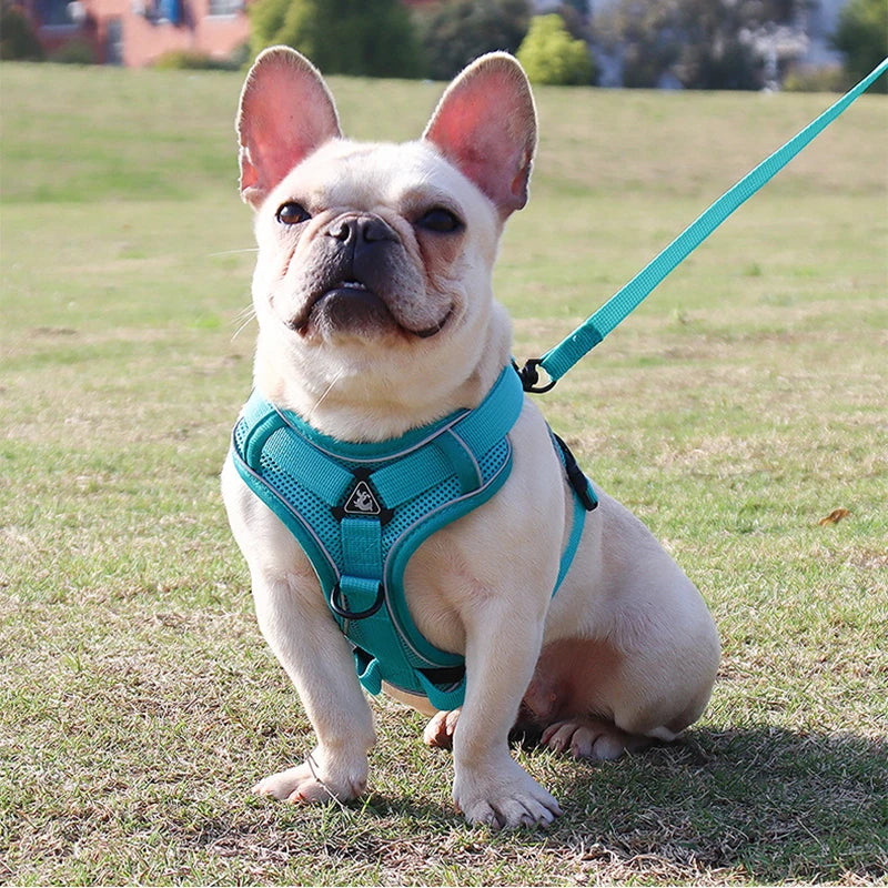 Dog leash Vest pet cat chest strap Reflective breathable cat leash puppy leash
