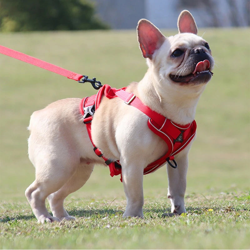 Dog leash Vest pet cat chest strap Reflective breathable cat leash puppy leash