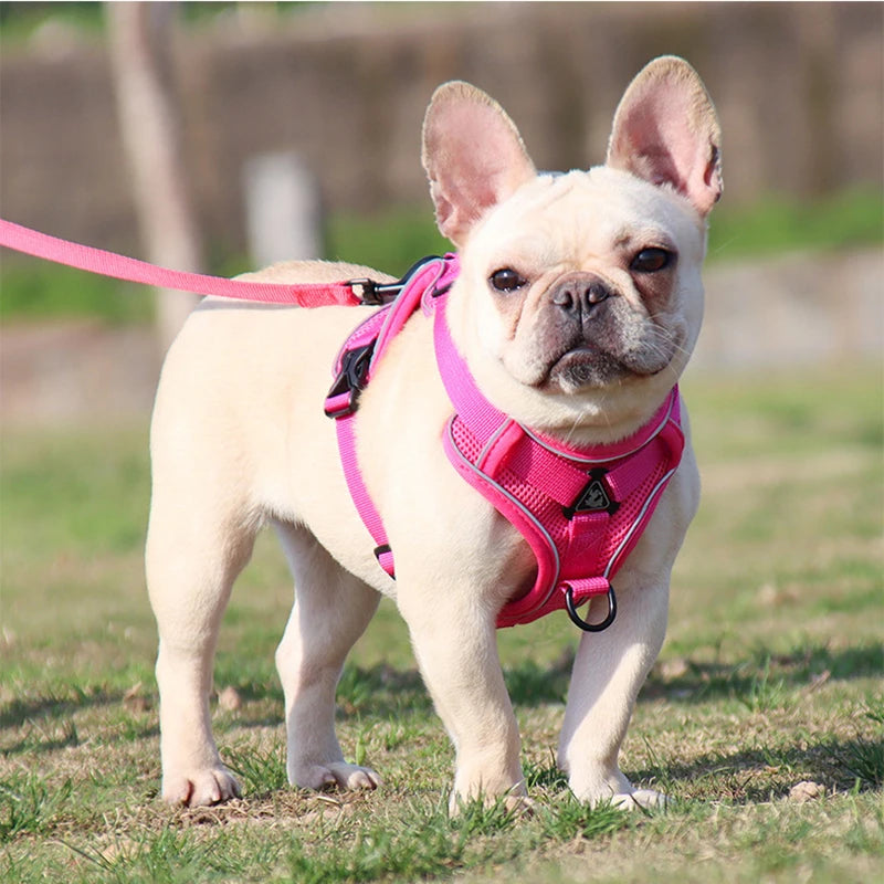 Dog leash Vest pet cat chest strap Reflective breathable cat leash puppy leash