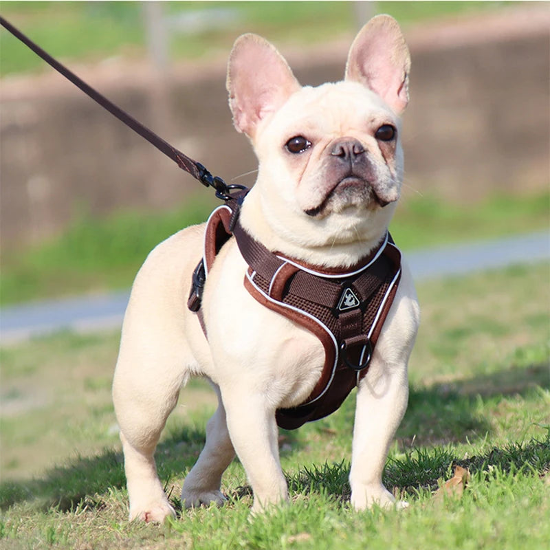 Dog leash Vest pet cat chest strap Reflective breathable cat leash puppy leash