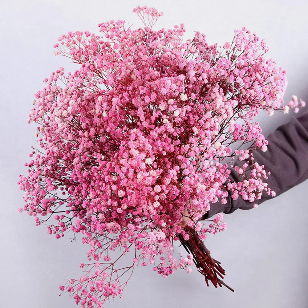 80g Natural Dried Gypsophile Flower Wedding Decoration Arrangement Baby Breath Preserved Flowers Bouquet Hoom Christmas Decor
