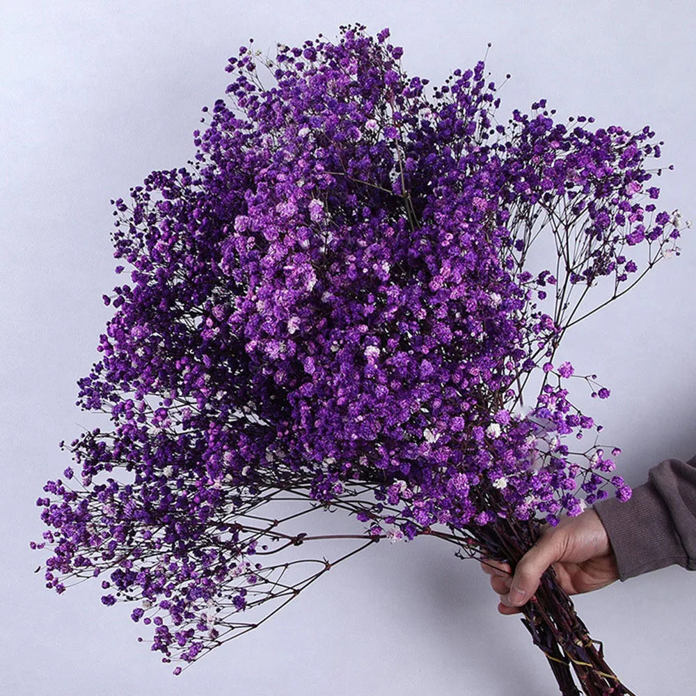 80g Natural Dried Gypsophile Flower Wedding Decoration Arrangement Baby Breath Preserved Flowers Bouquet Hoom Christmas Decor