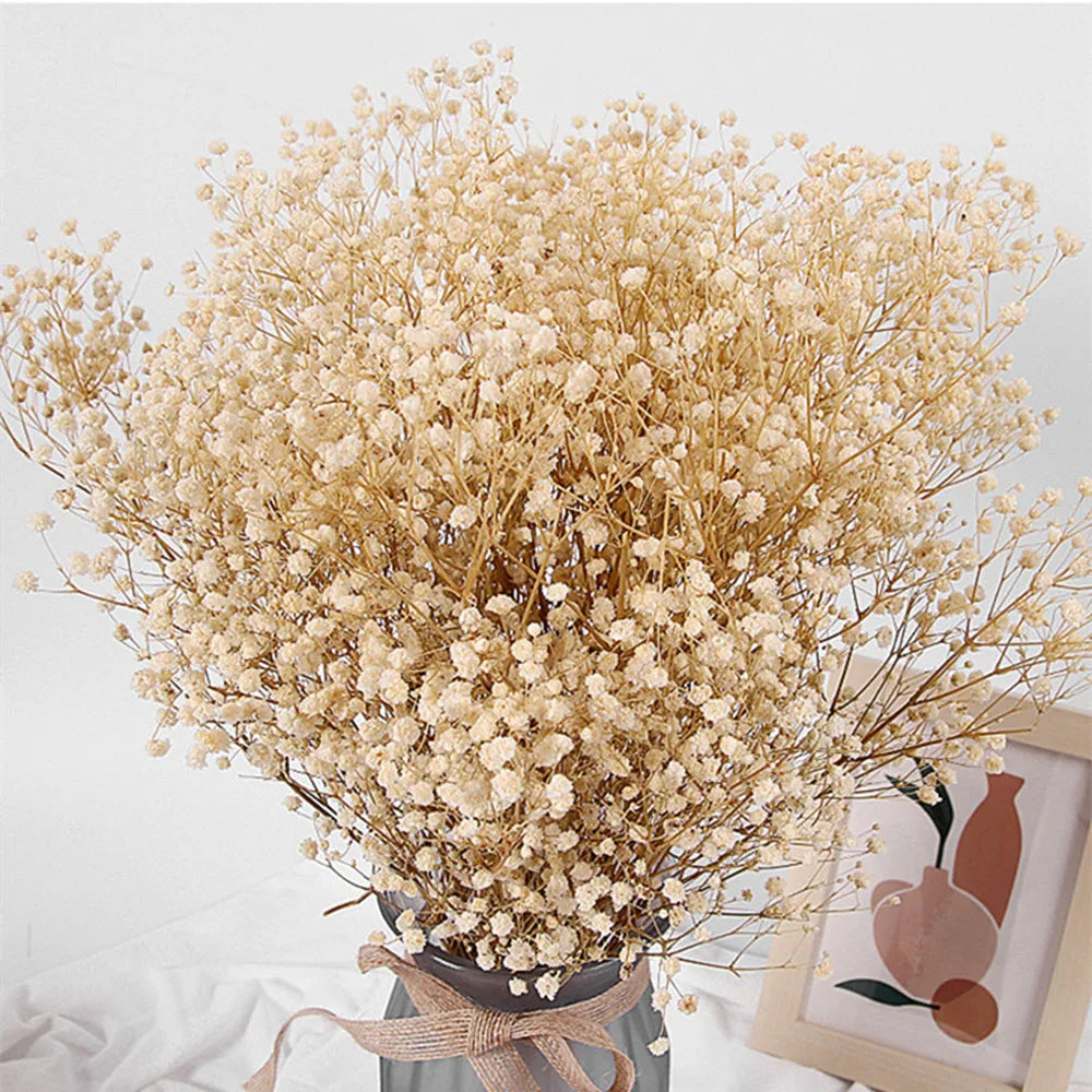 80g Natural Dried Gypsophile Flower Wedding Decoration Arrangement Baby Breath Preserved Flowers Bouquet Hoom Christmas Decor