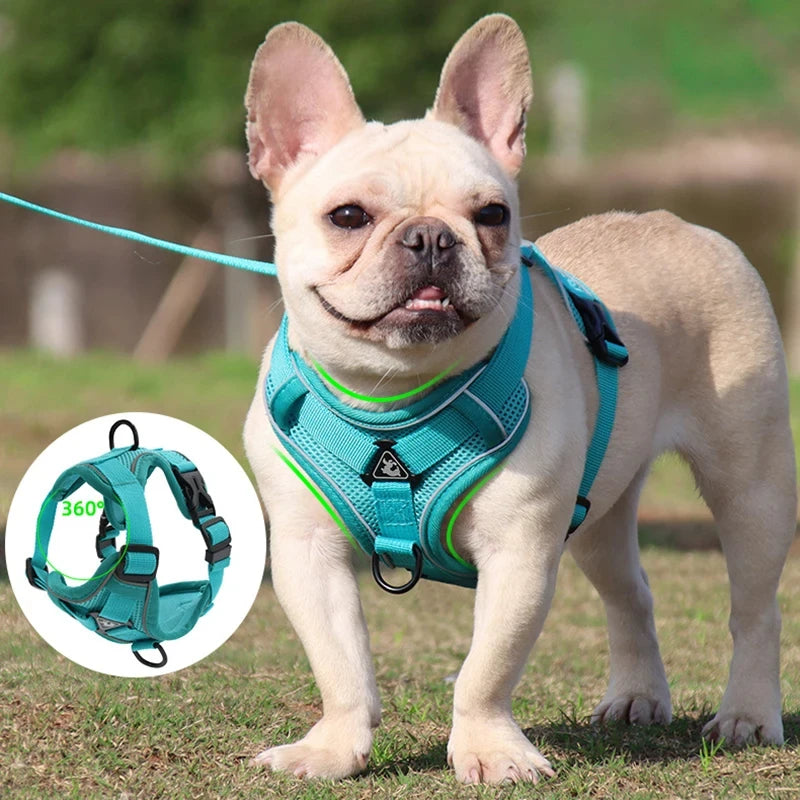 Dog leash Vest pet cat chest strap Reflective breathable cat leash puppy leash