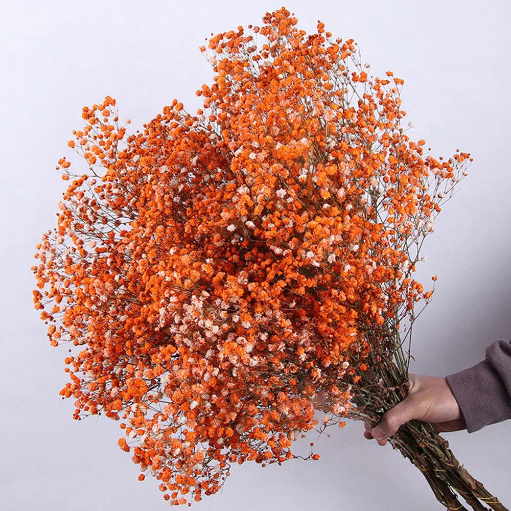 80g Natural Dried Gypsophile Flower Wedding Decoration Arrangement Baby Breath Preserved Flowers Bouquet Hoom Christmas Decor
