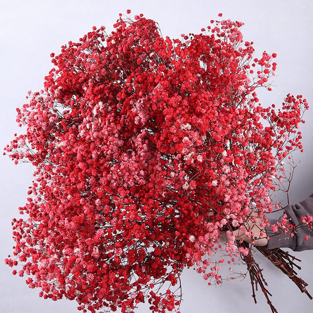 80g Natural Dried Gypsophile Flower Wedding Decoration Arrangement Baby Breath Preserved Flowers Bouquet Hoom Christmas Decor