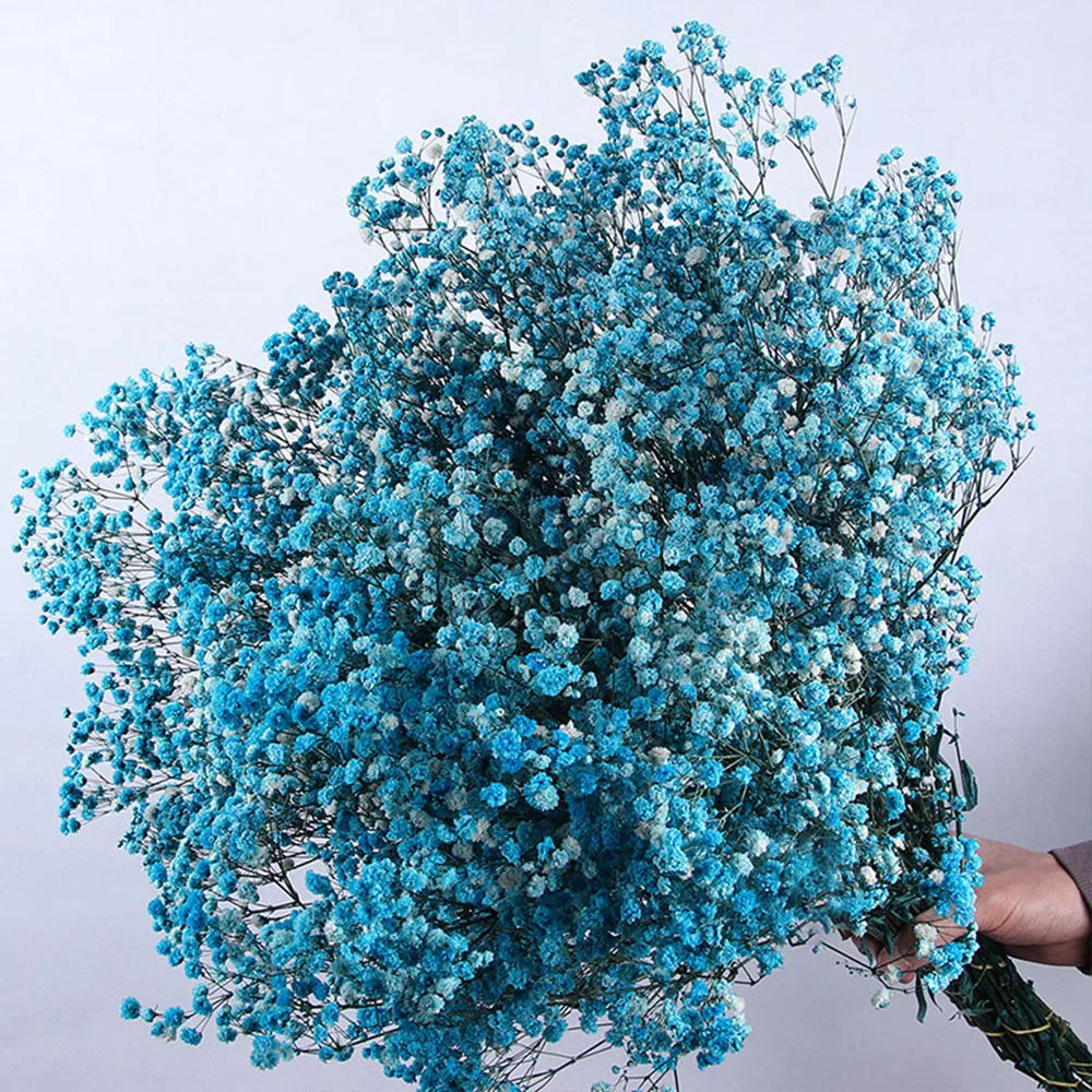 80g Natural Dried Gypsophile Flower Wedding Decoration Arrangement Baby Breath Preserved Flowers Bouquet Hoom Christmas Decor